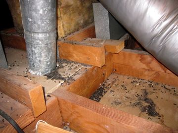 Crawl Space Restoration in Garrison, Maryland