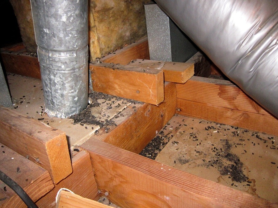 Crawl Space Restoration by A#1 Abatement